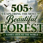 505+ Exploring the Most Beautiful Forest Names Around the World
