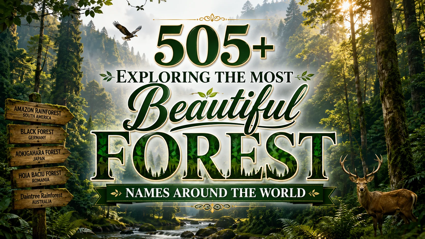 505+ Exploring the Most Beautiful Forest Names Around the World