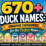 670+ Duck Names Creative Categories for the Perfect Name