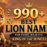 990+ Best Lion Names for Every Majestic King of the Jungle