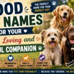 Good Dog Names for Your Loyal, Loving and Playful Companion