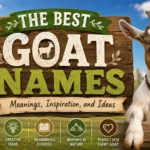 The Best Goat Names Meanings, Inspiration, and Ideas