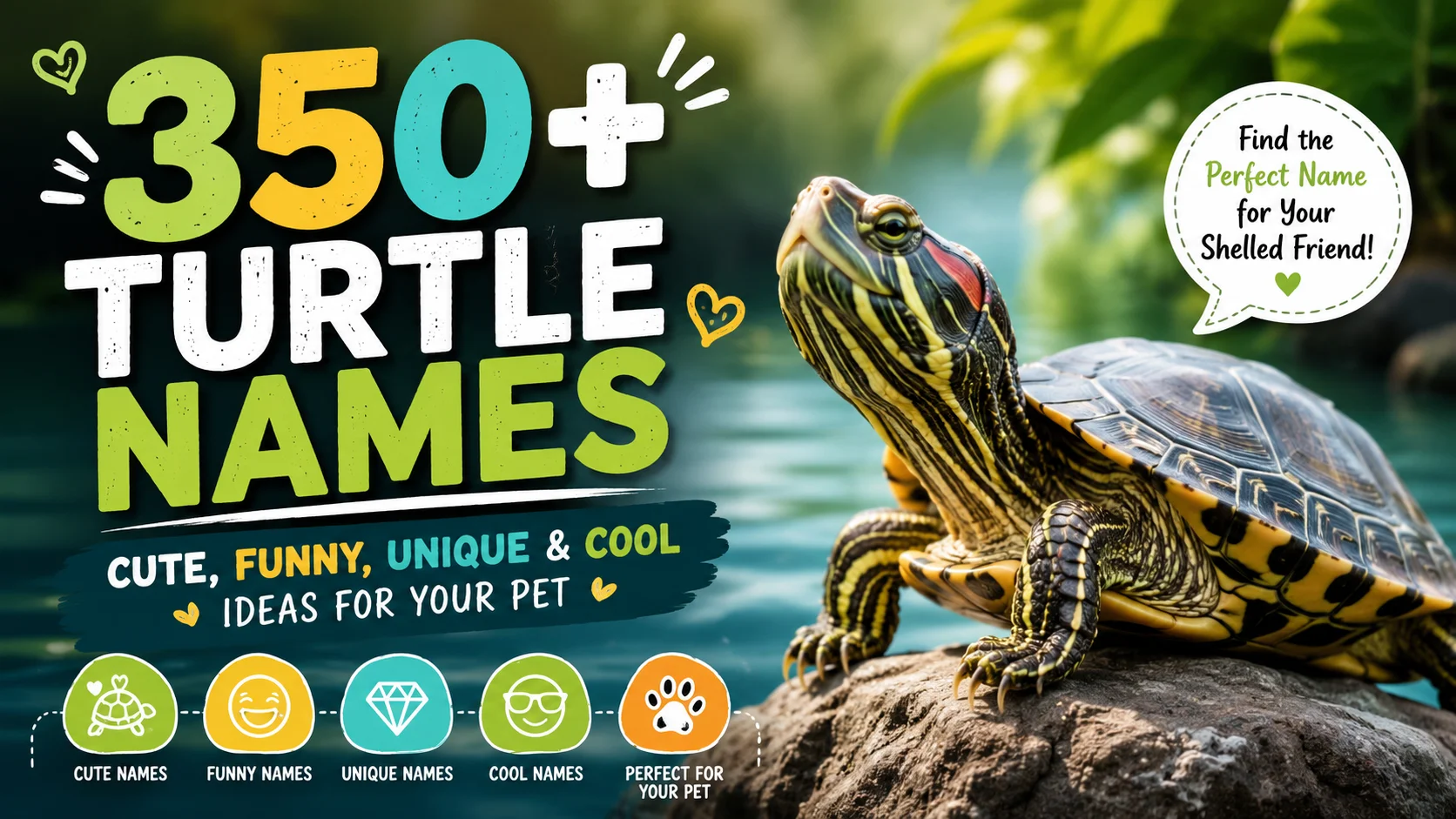 350+ Turtle Names Cute, Funny, Unique & Cool Ideas for Your Pet