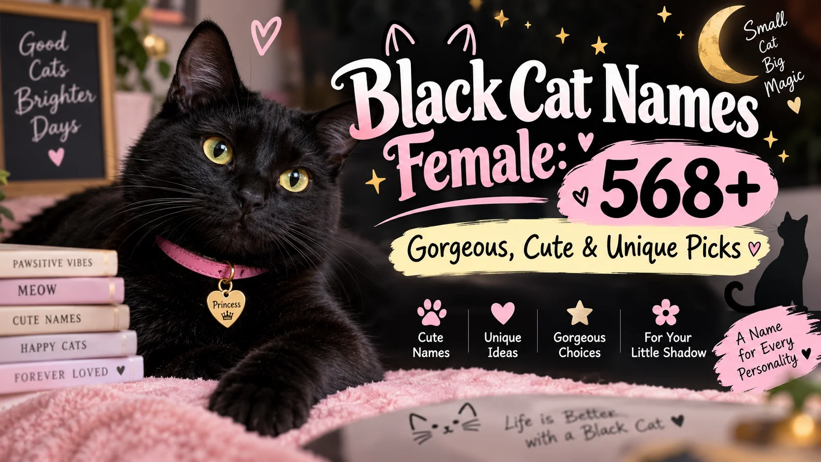 Black Cat Names Female 568+ Gorgeous, Cute & Unique Picks